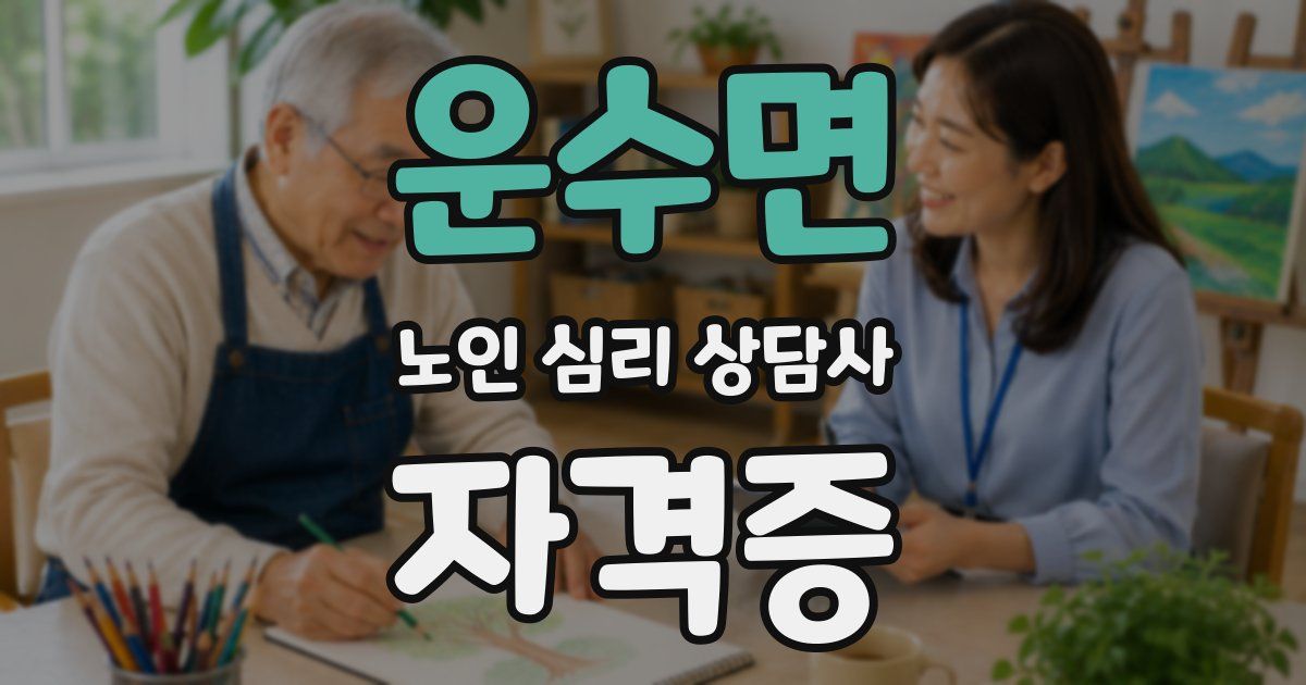 운수면 노인 심리 상담사 자격증