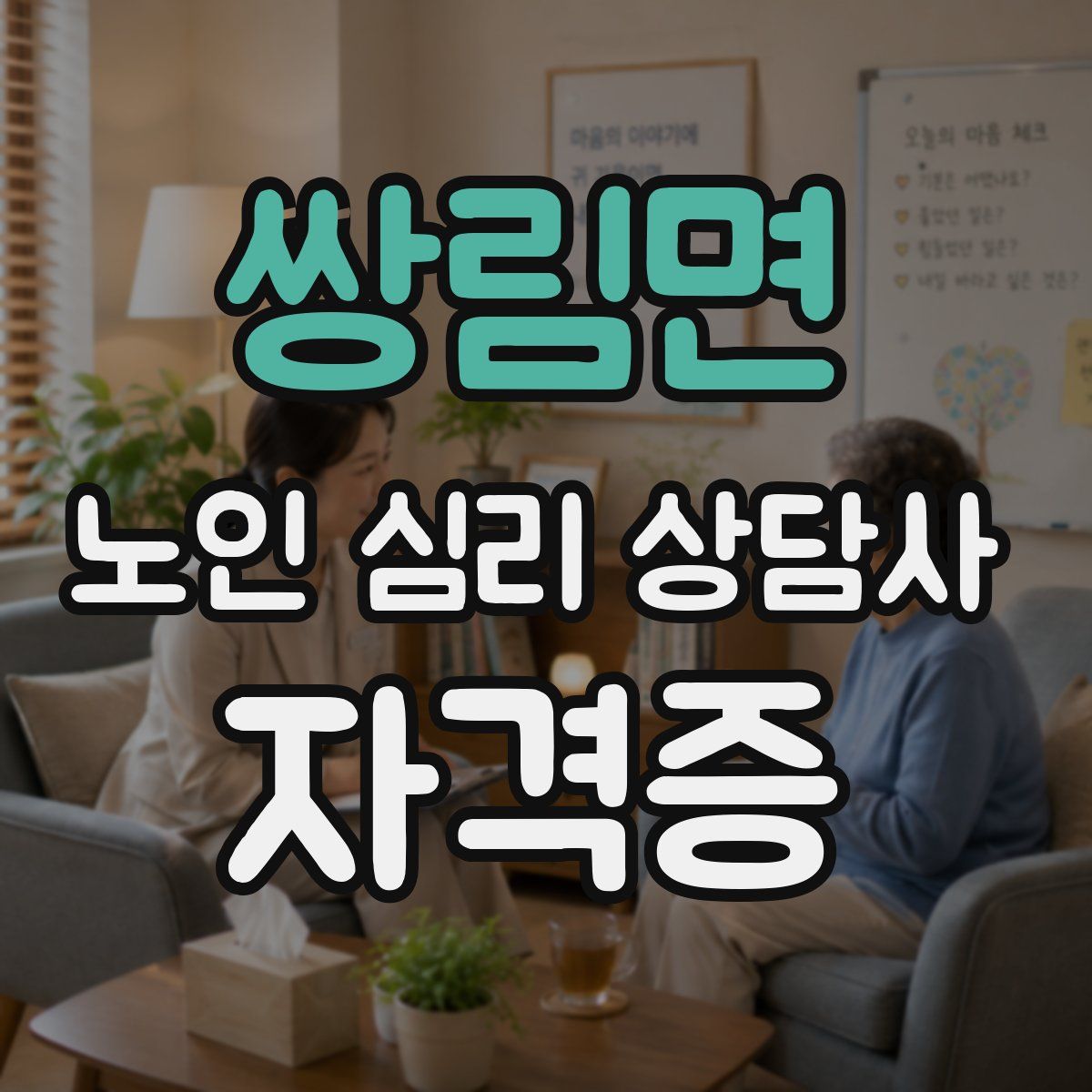 쌍림면 노인 심리 상담사 자격증