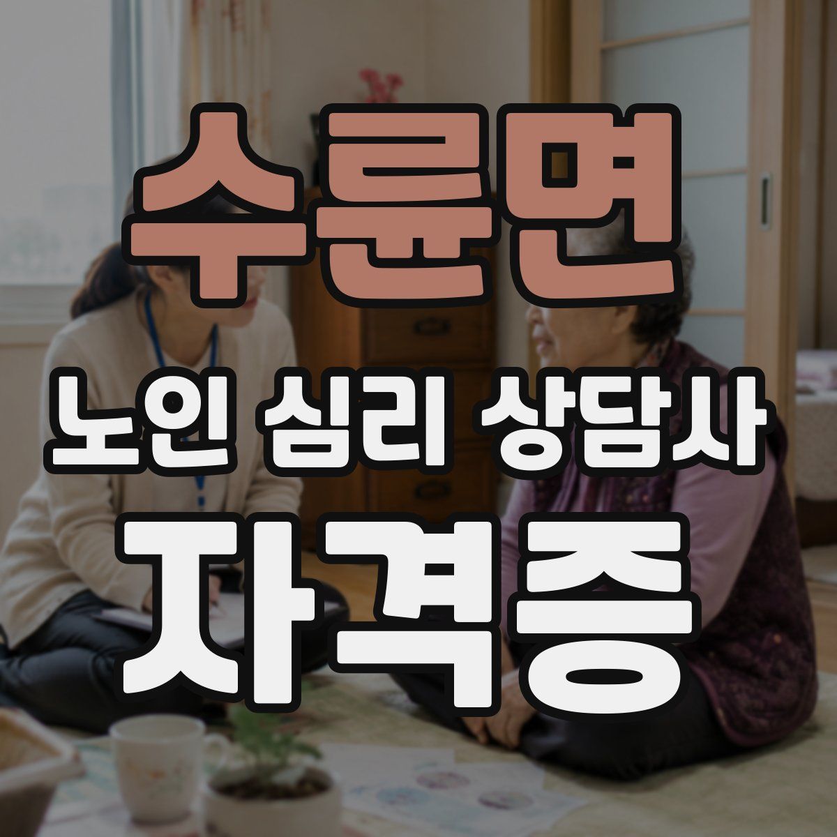 수륜면 노인 심리 상담사 자격증