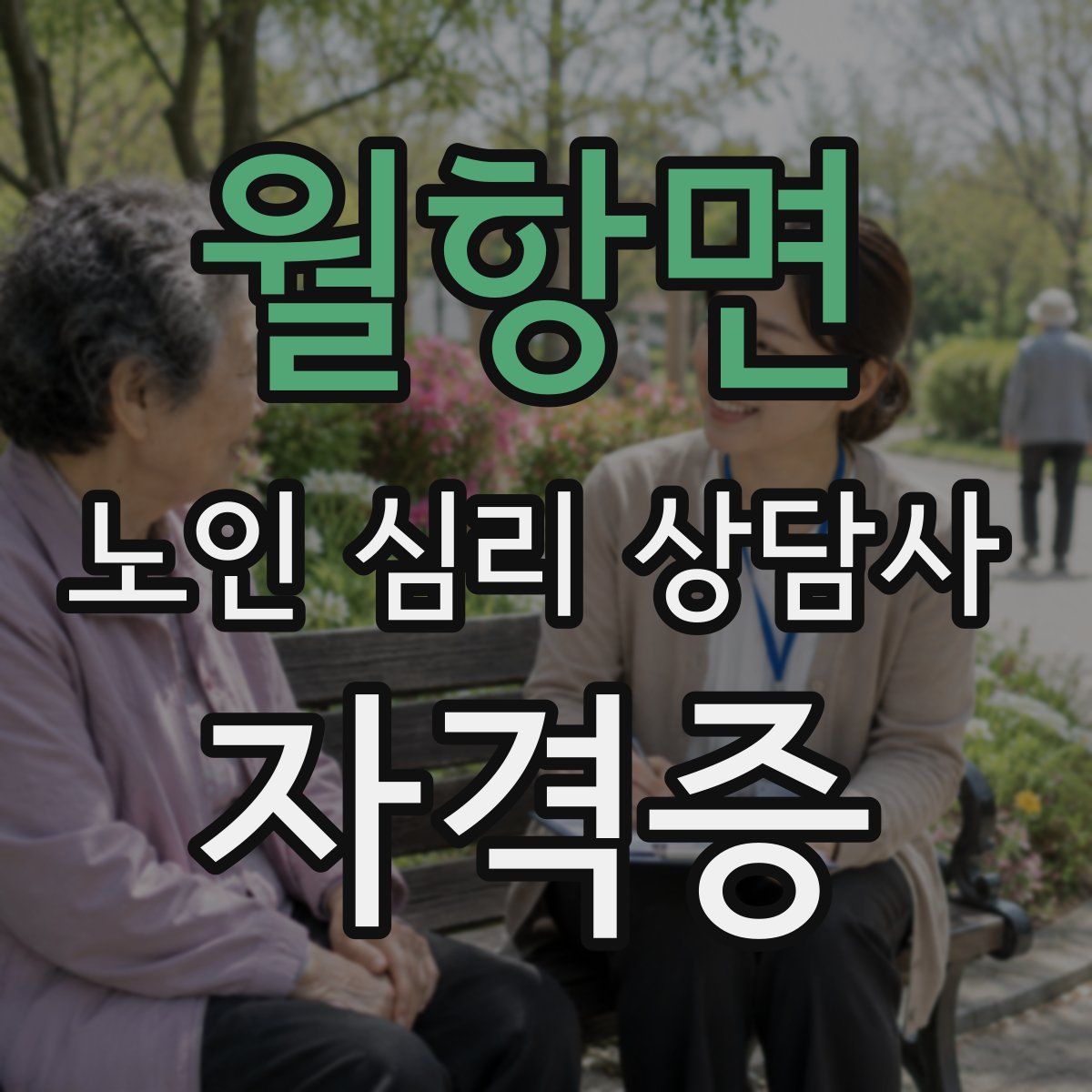 월항면 노인 심리 상담사 자격증