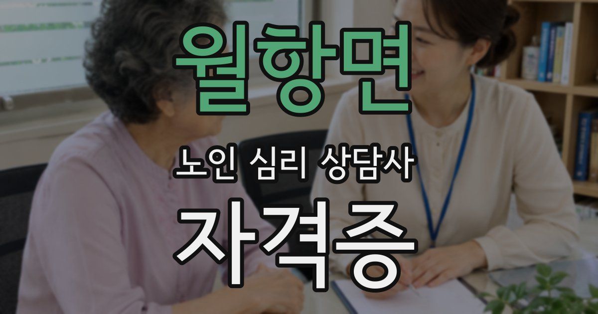월항면 노인 심리 상담사 자격증