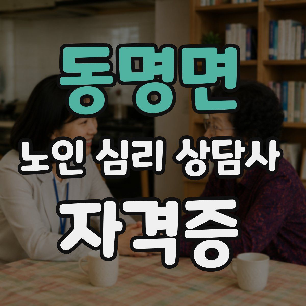 동명면 노인 심리 상담사 자격증