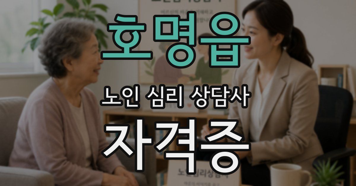 호명읍 노인 심리 상담사 자격증