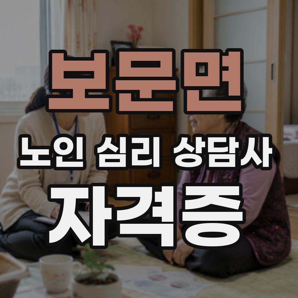 보문면 노인 심리 상담사 자격증