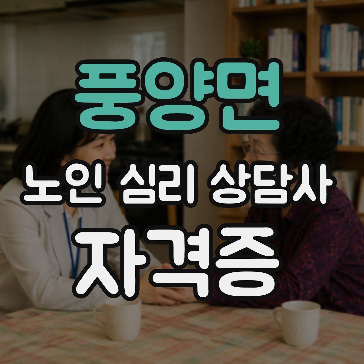 풍양면 노인 심리 상담사 자격증