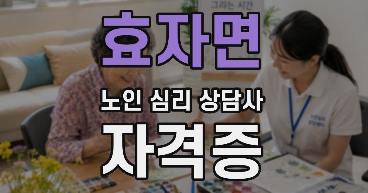 효자면 노인 심리 상담사 자격증