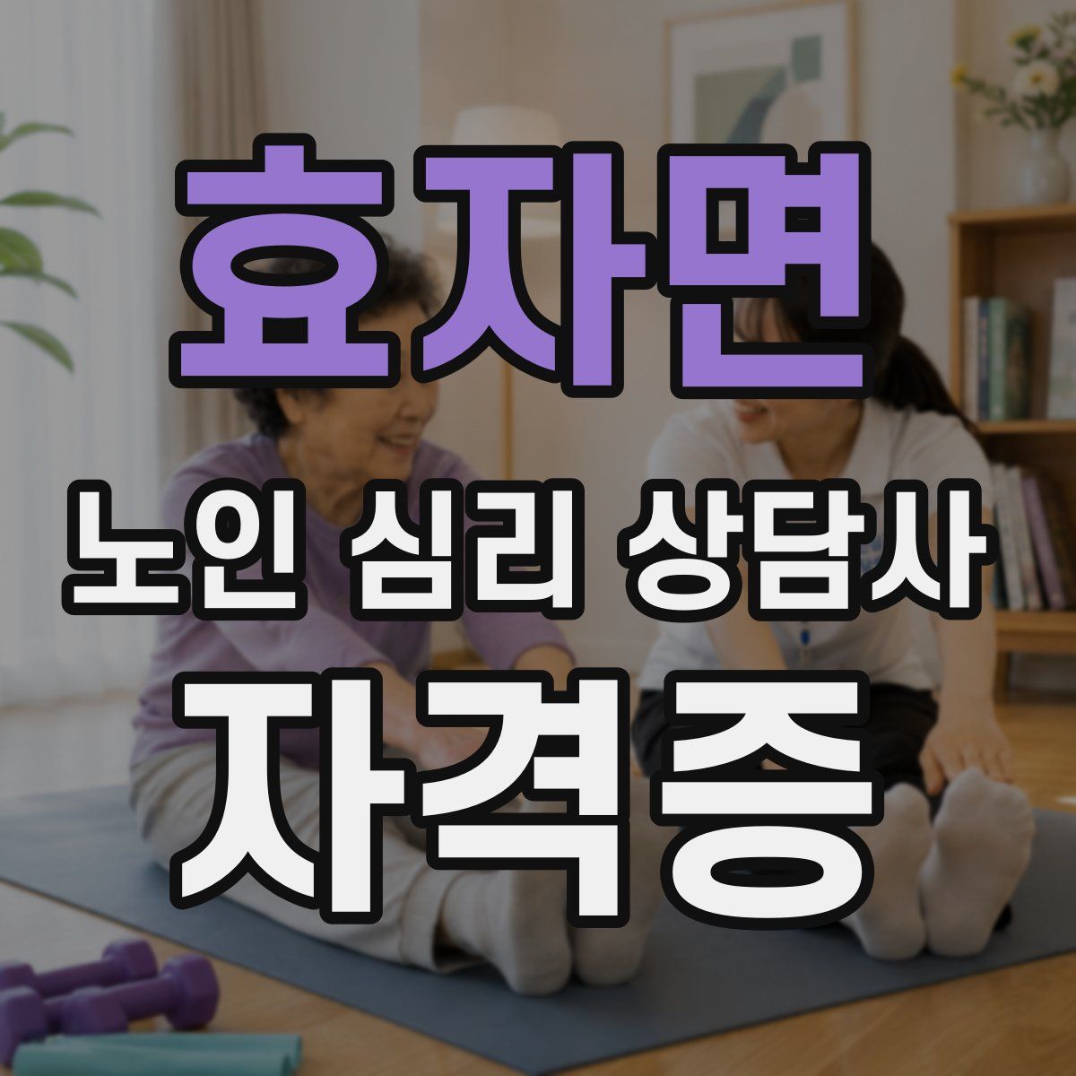 효자면 노인 심리 상담사 자격증