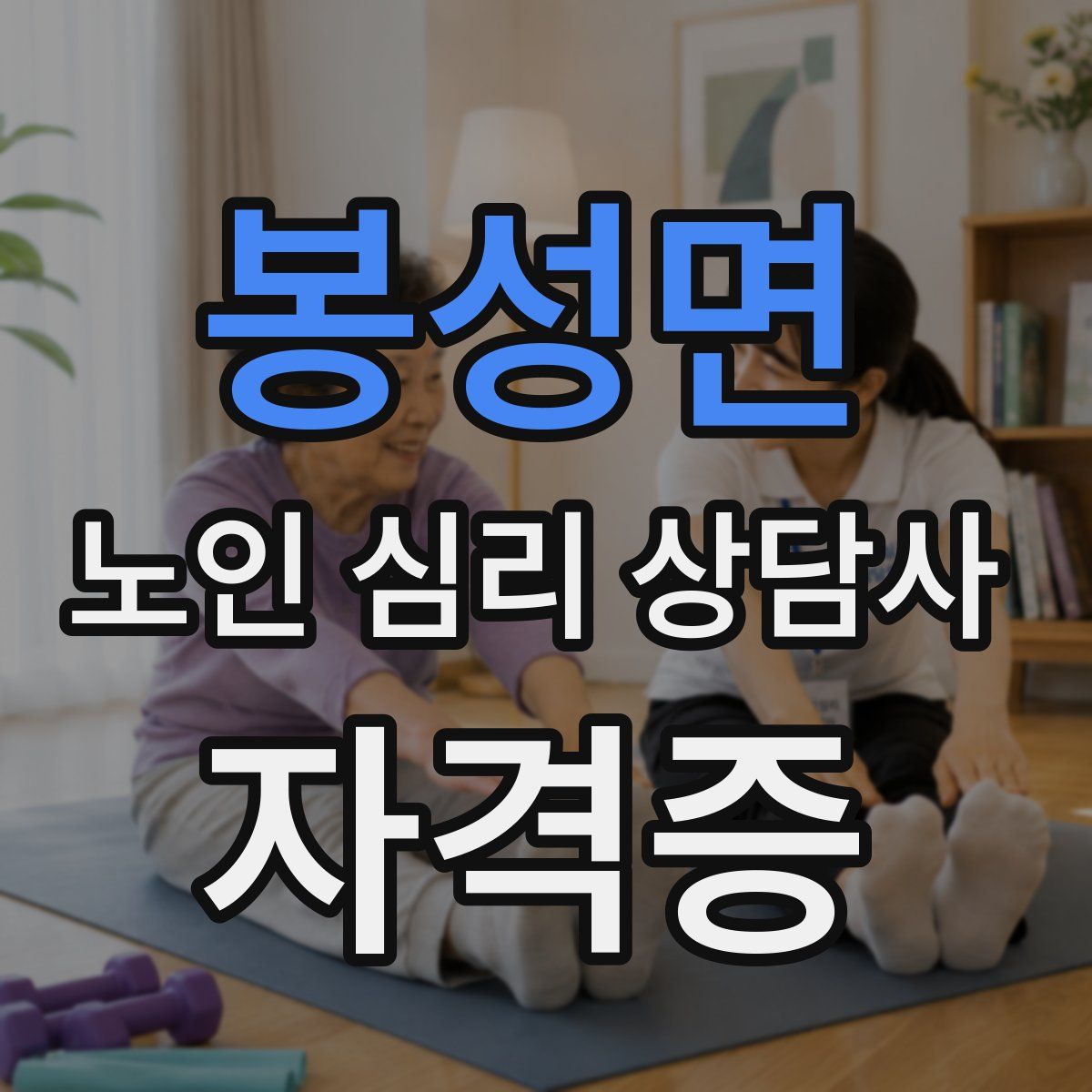 봉성면 노인 심리 상담사 자격증