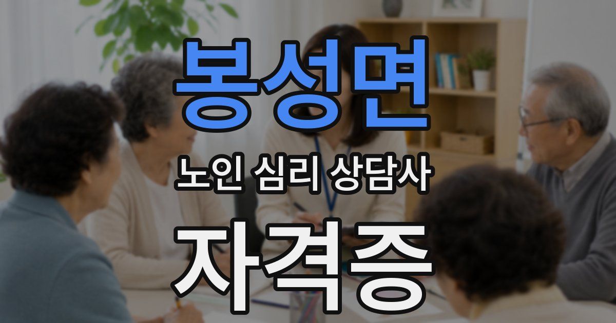 봉성면 노인 심리 상담사 자격증