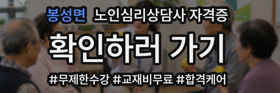 봉성면 노인 심리 상담사 자격증