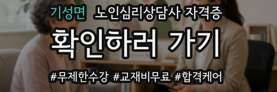 기성면 노인 심리 상담사 자격증