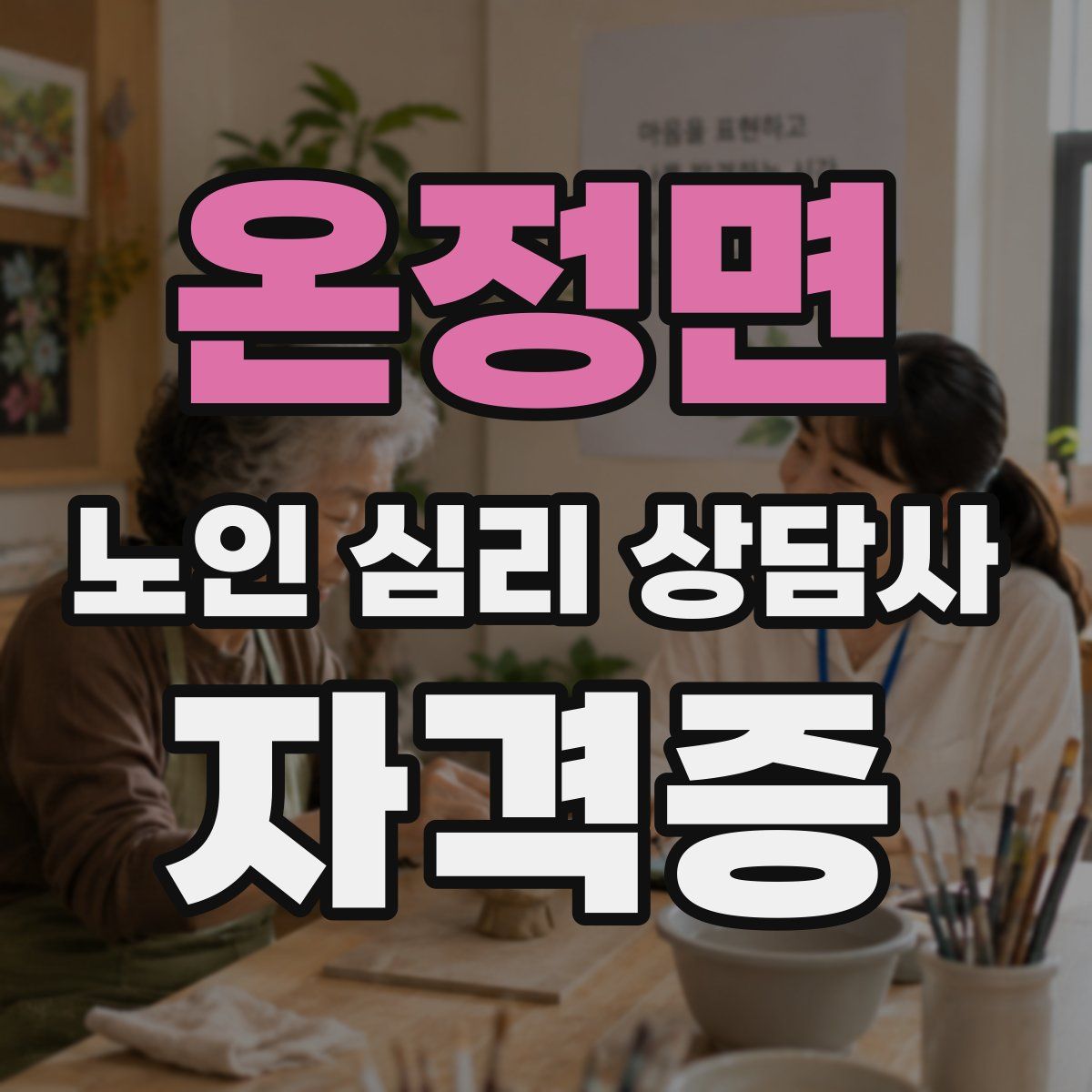 온정면 노인 심리 상담사 자격증