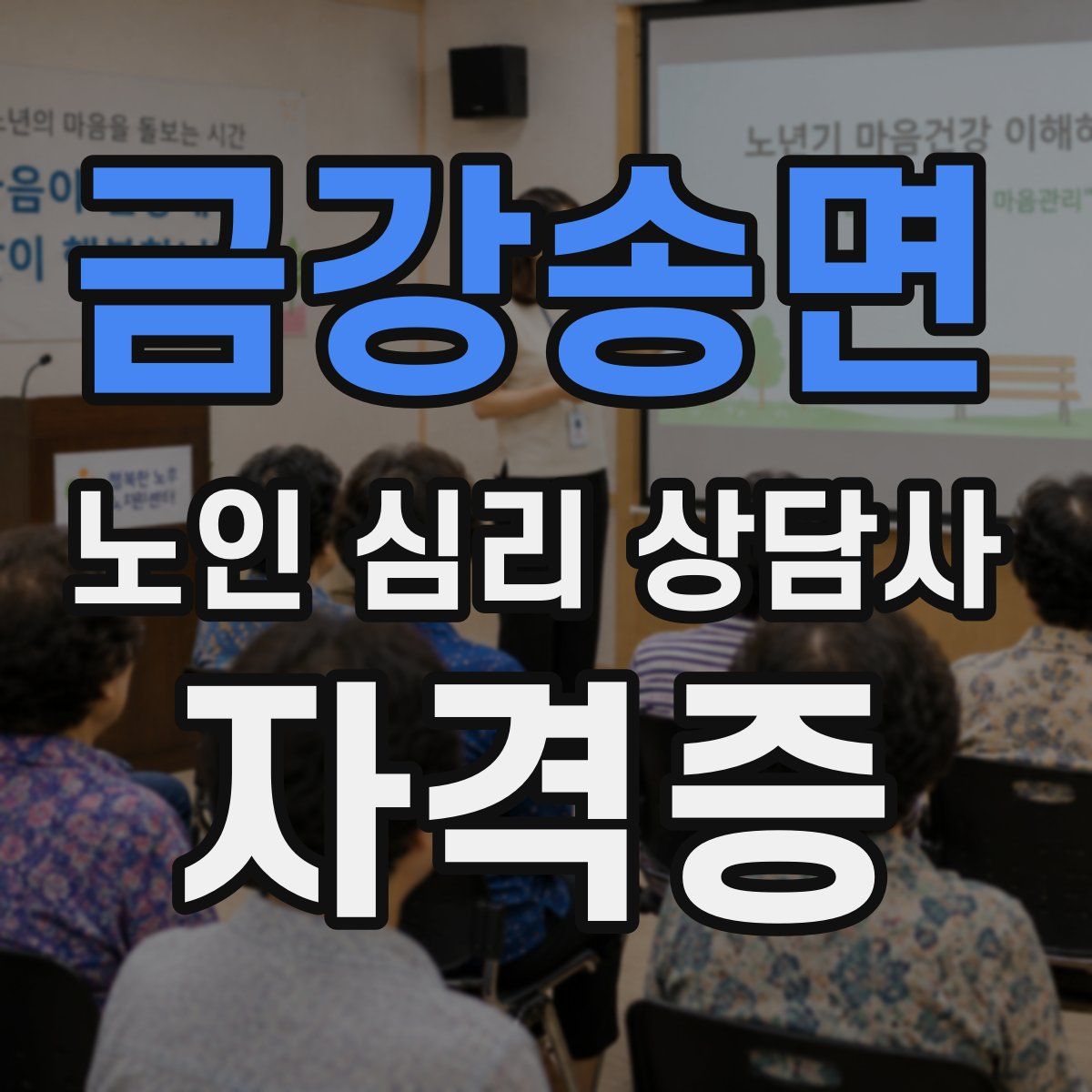 금강송면 노인 심리 상담사 자격증