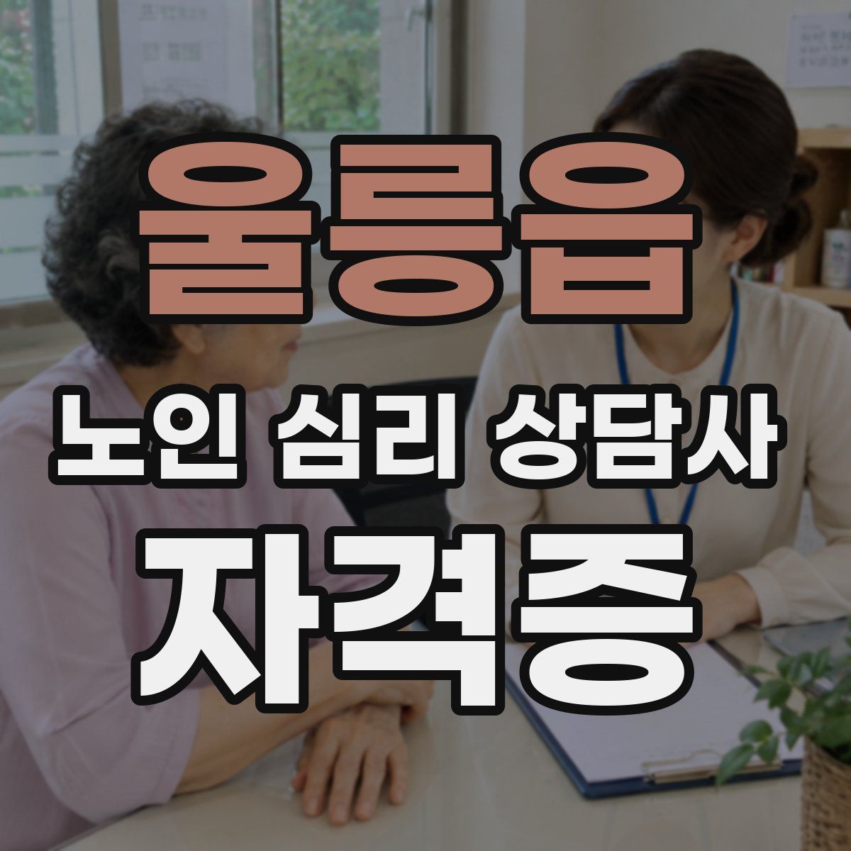 울릉읍 노인 심리 상담사 자격증