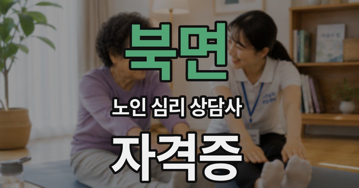 북면 노인 심리 상담사 자격증