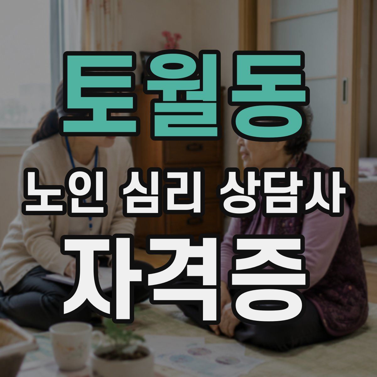 토월동 노인 심리 상담사 자격증