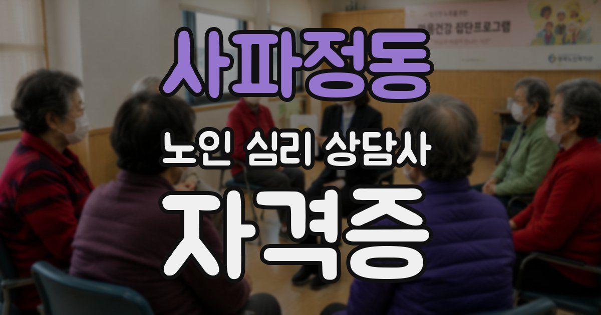 사파정동 노인 심리 상담사 자격증