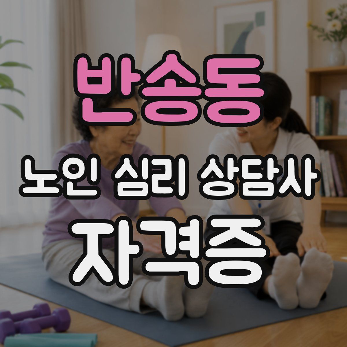 반송동 노인 심리 상담사 자격증