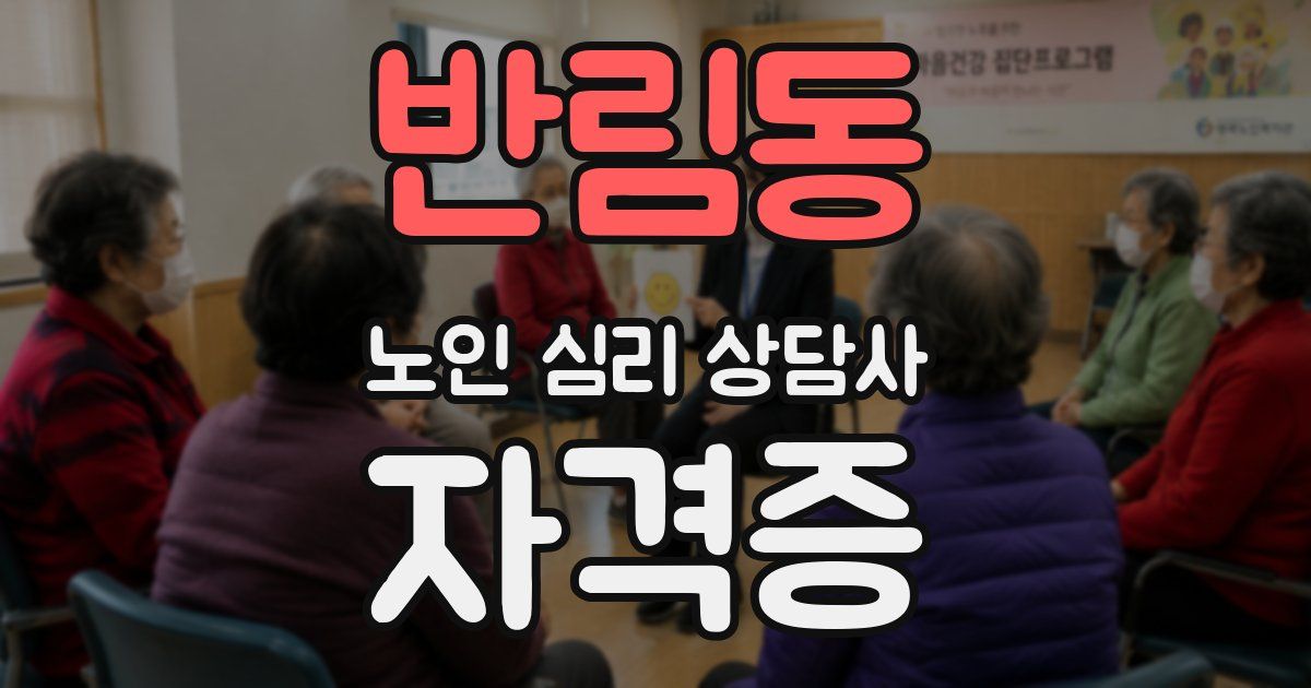 반림동 노인 심리 상담사 자격증