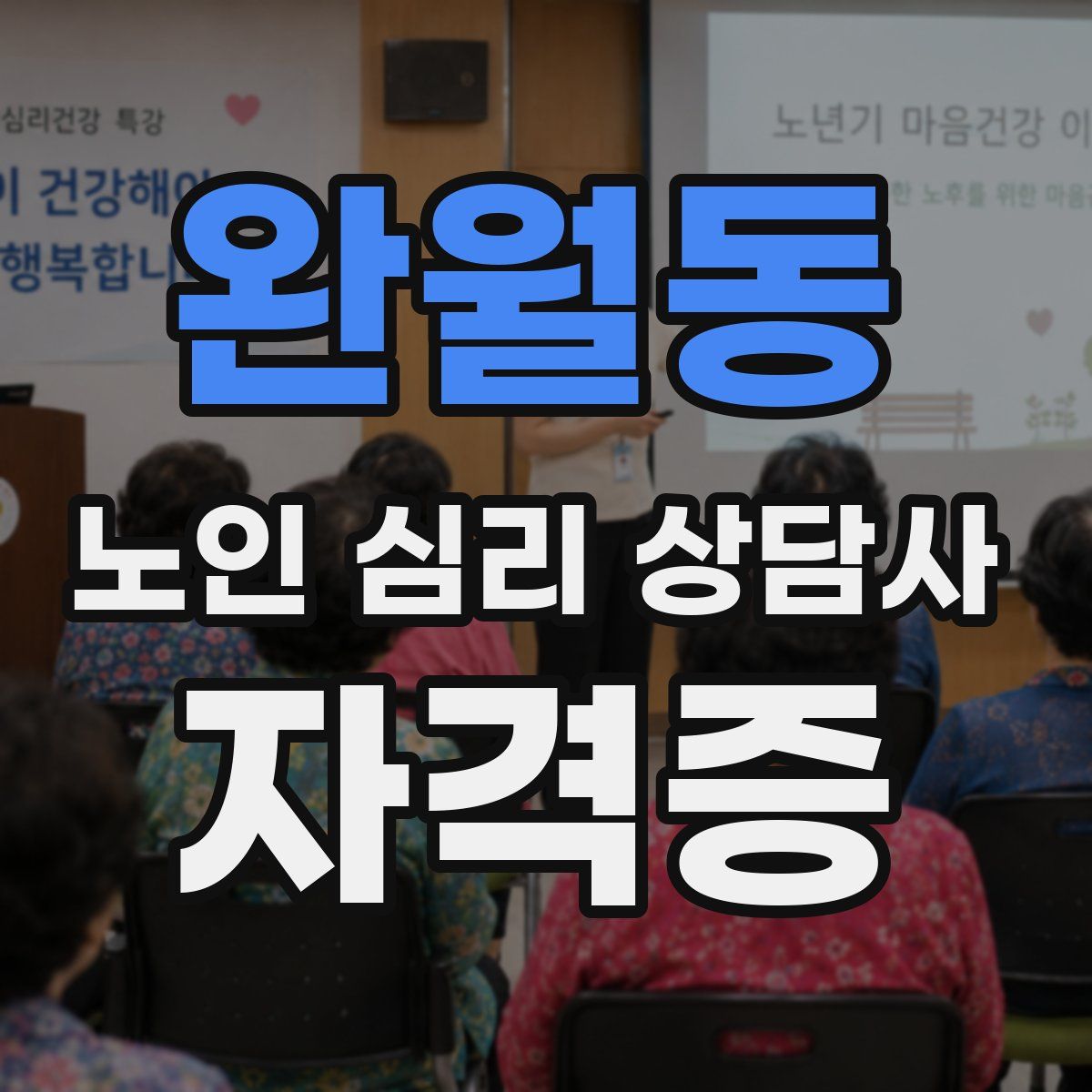 완월동 노인 심리 상담사 자격증
