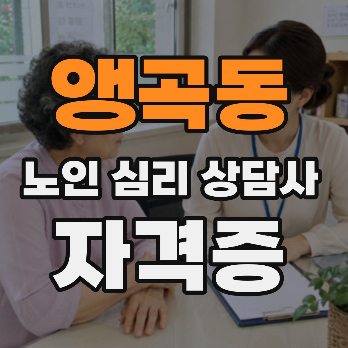 앵곡동 노인 심리 상담사 자격증