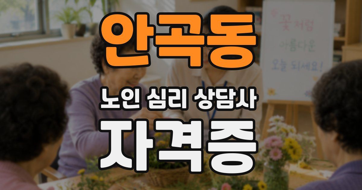 안곡동 노인 심리 상담사 자격증