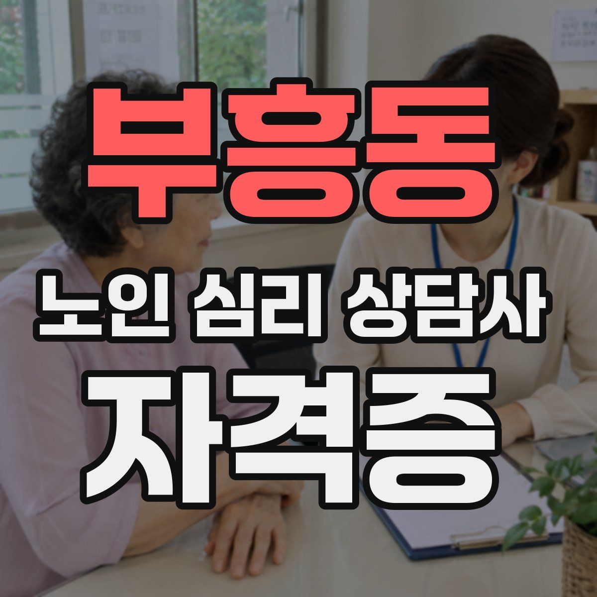 부흥동 노인 심리 상담사 자격증
