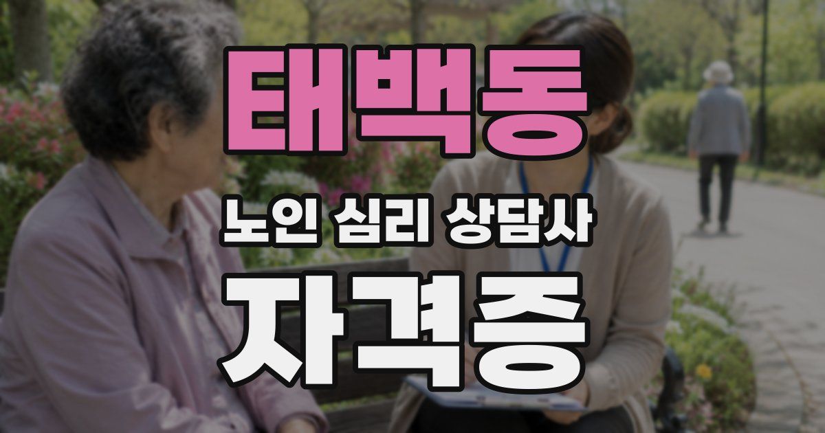 태백동 노인 심리 상담사 자격증