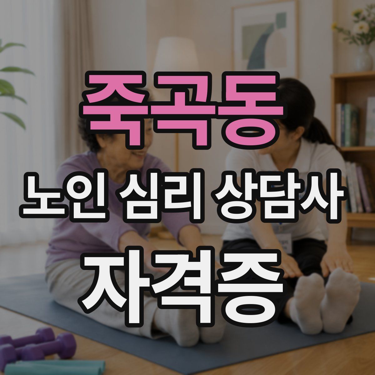 죽곡동 노인 심리 상담사 자격증