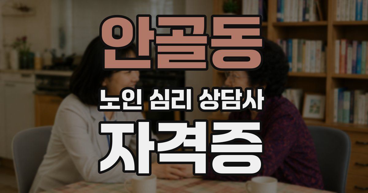안골동 노인 심리 상담사 자격증