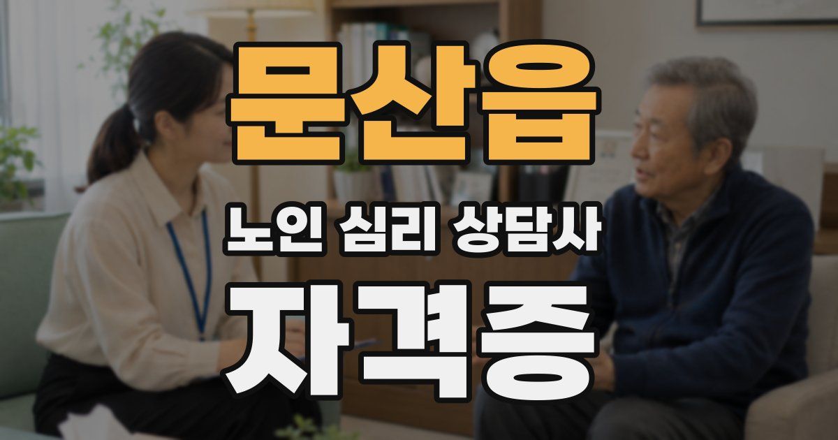 문산읍 노인 심리 상담사 자격증