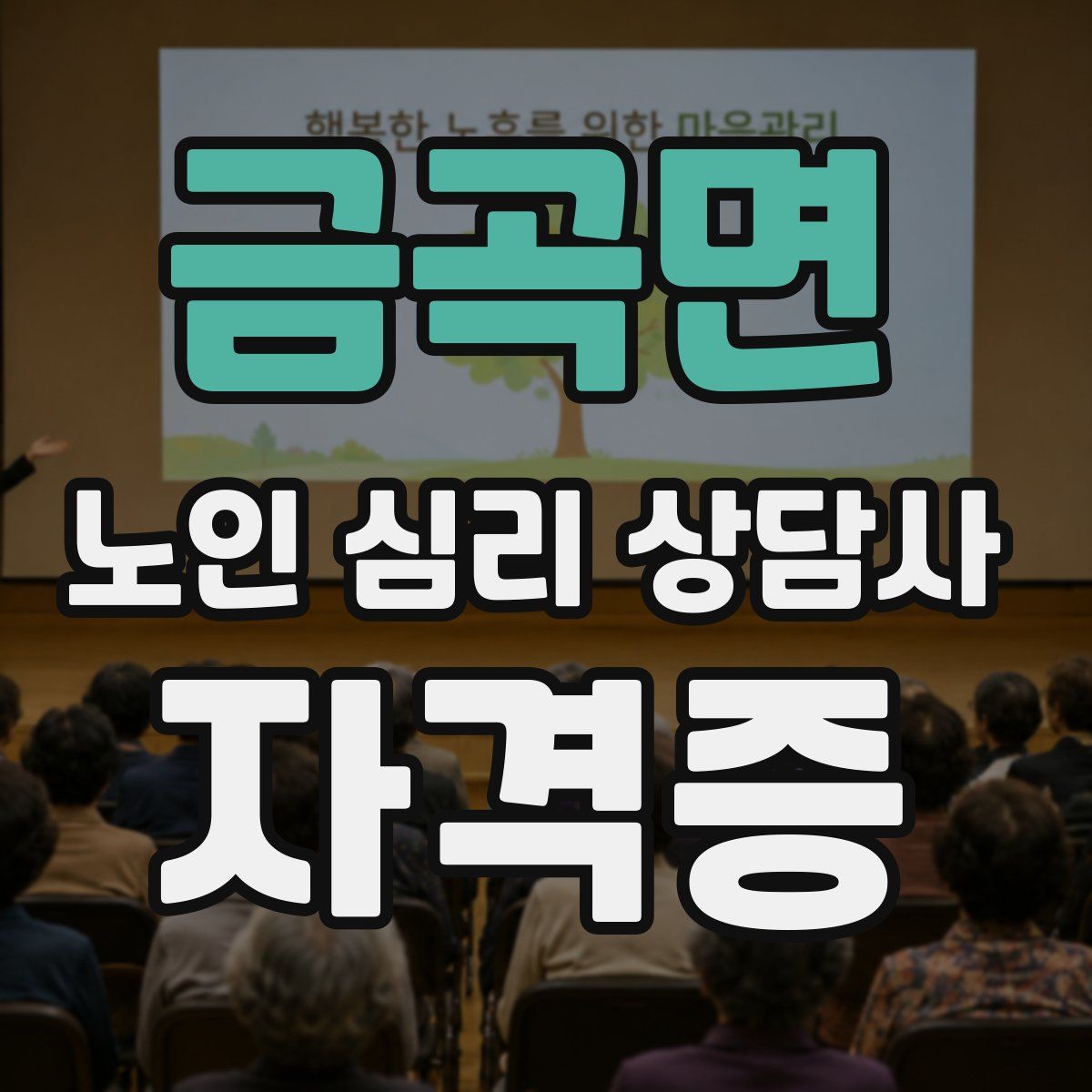 금곡면 노인 심리 상담사 자격증
