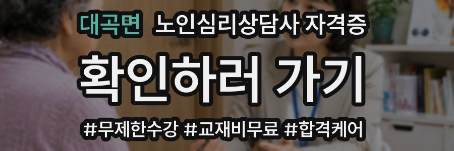 대곡면 노인 심리 상담사 자격증