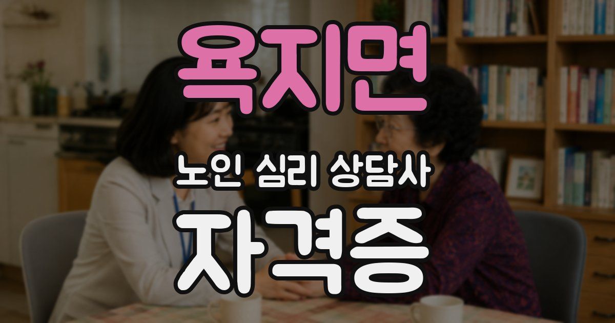 욕지면 노인 심리 상담사 자격증
