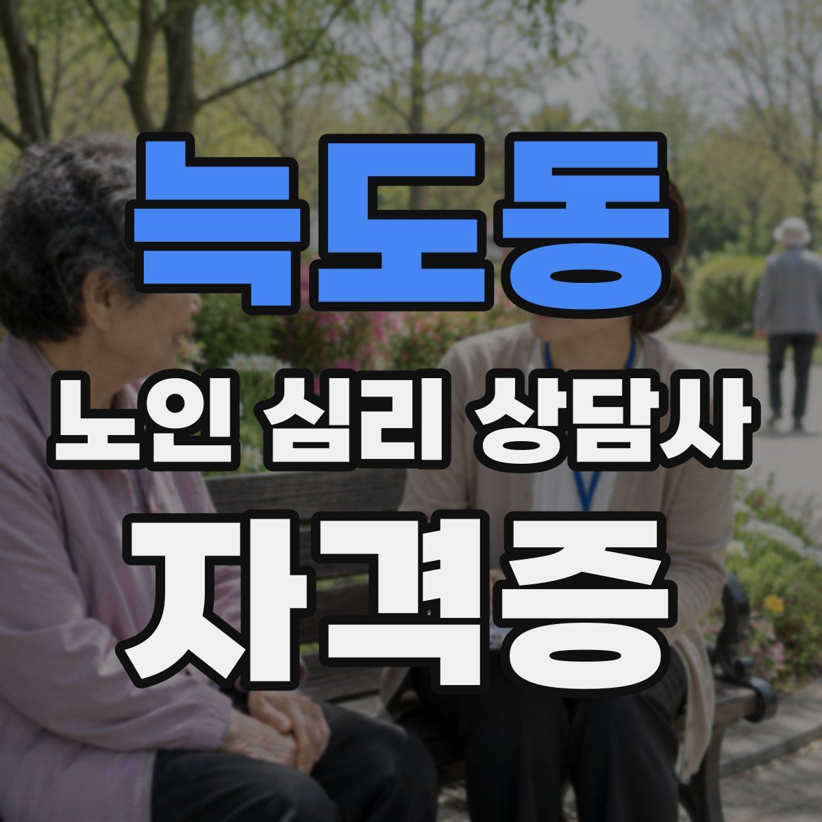 늑도동 노인 심리 상담사 자격증