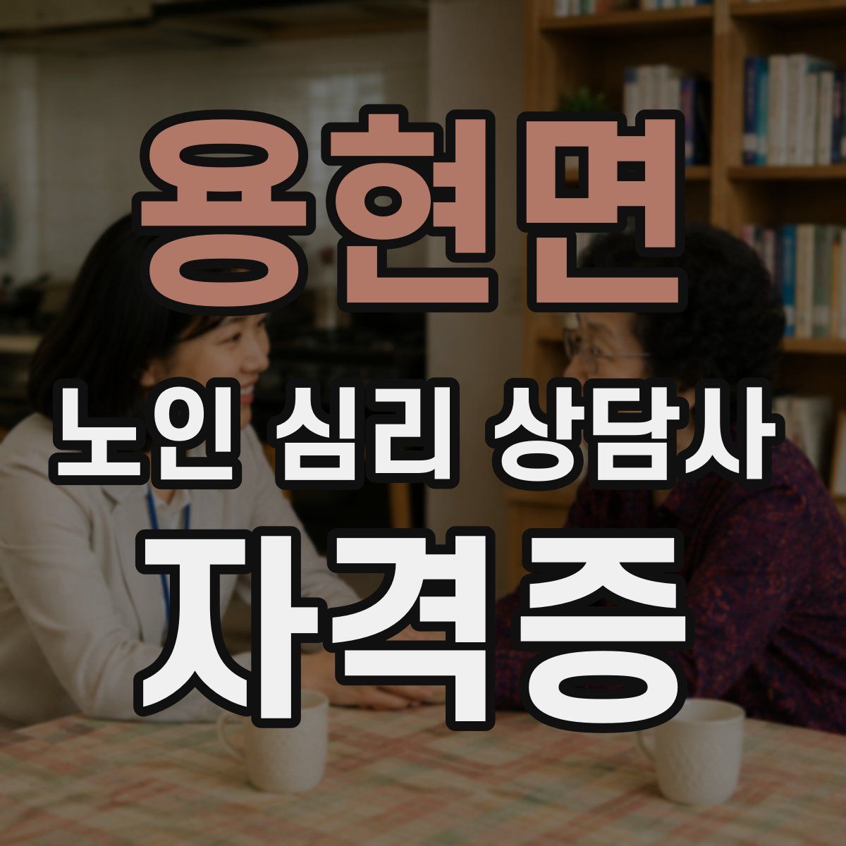 용현면 노인 심리 상담사 자격증