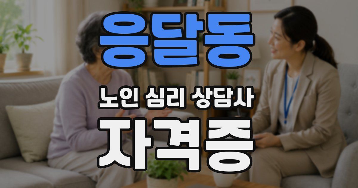 응달동 노인 심리 상담사 자격증
