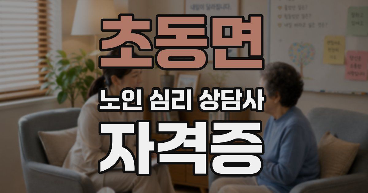 초동면 노인 심리 상담사 자격증