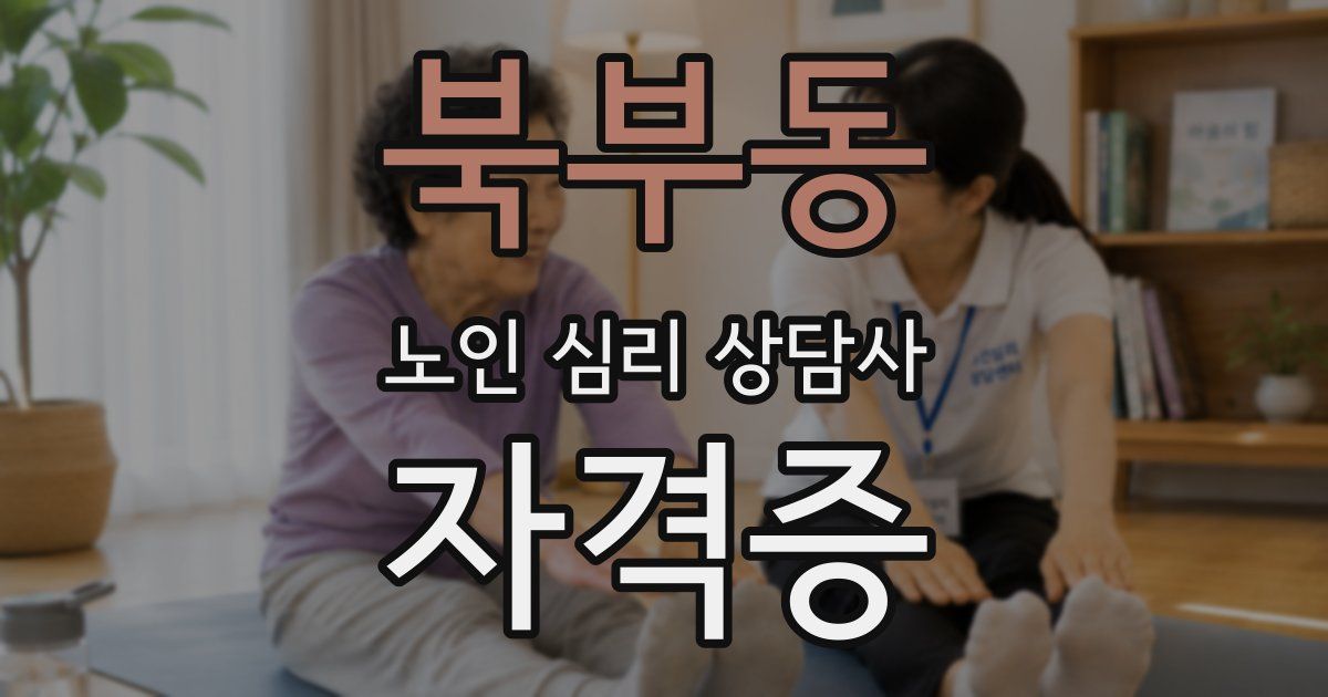 북부동 노인 심리 상담사 자격증