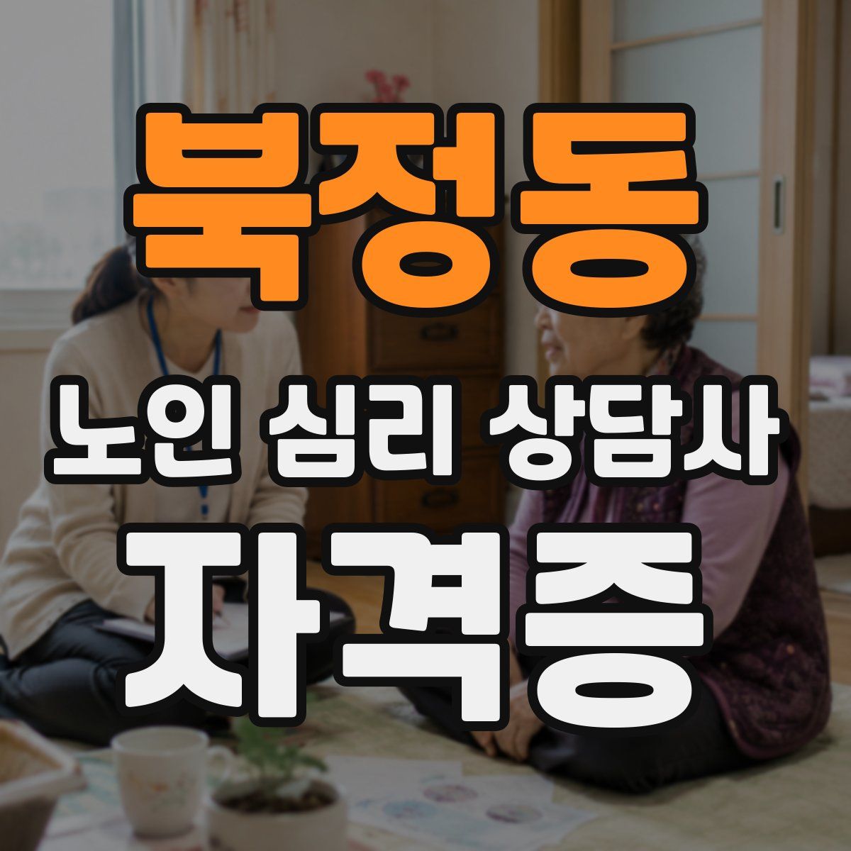 북정동 노인 심리 상담사 자격증