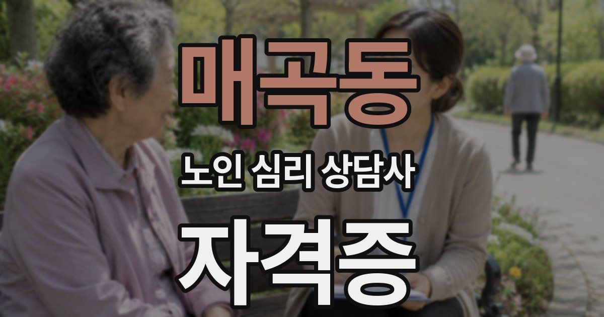 매곡동 노인 심리 상담사 자격증