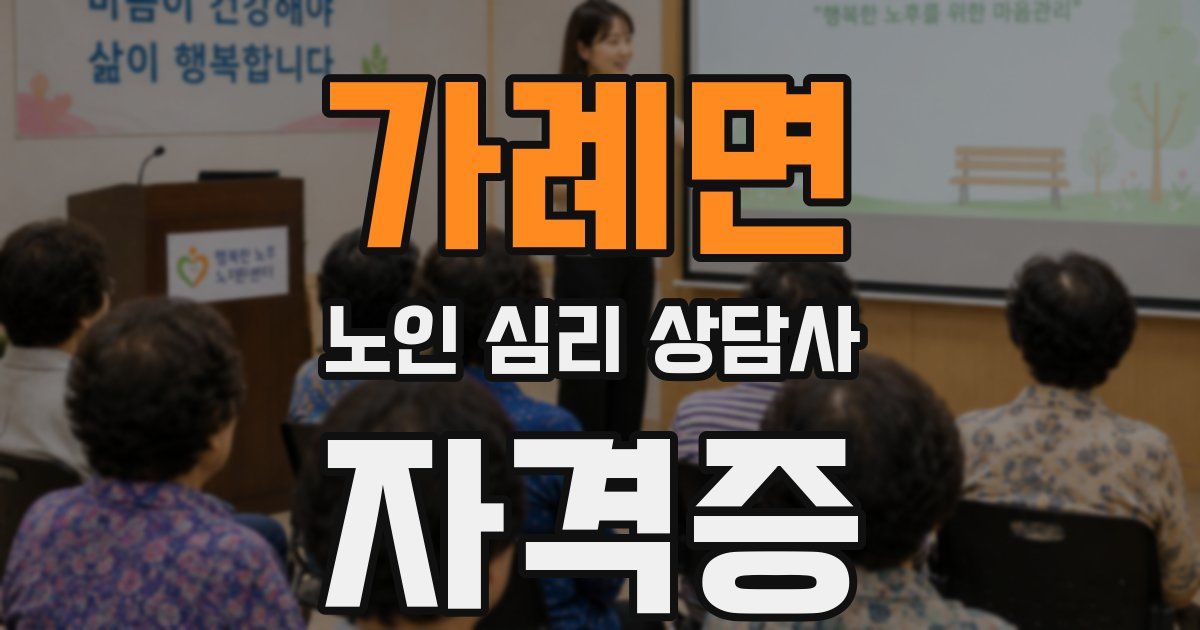 가례면 노인 심리 상담사 자격증