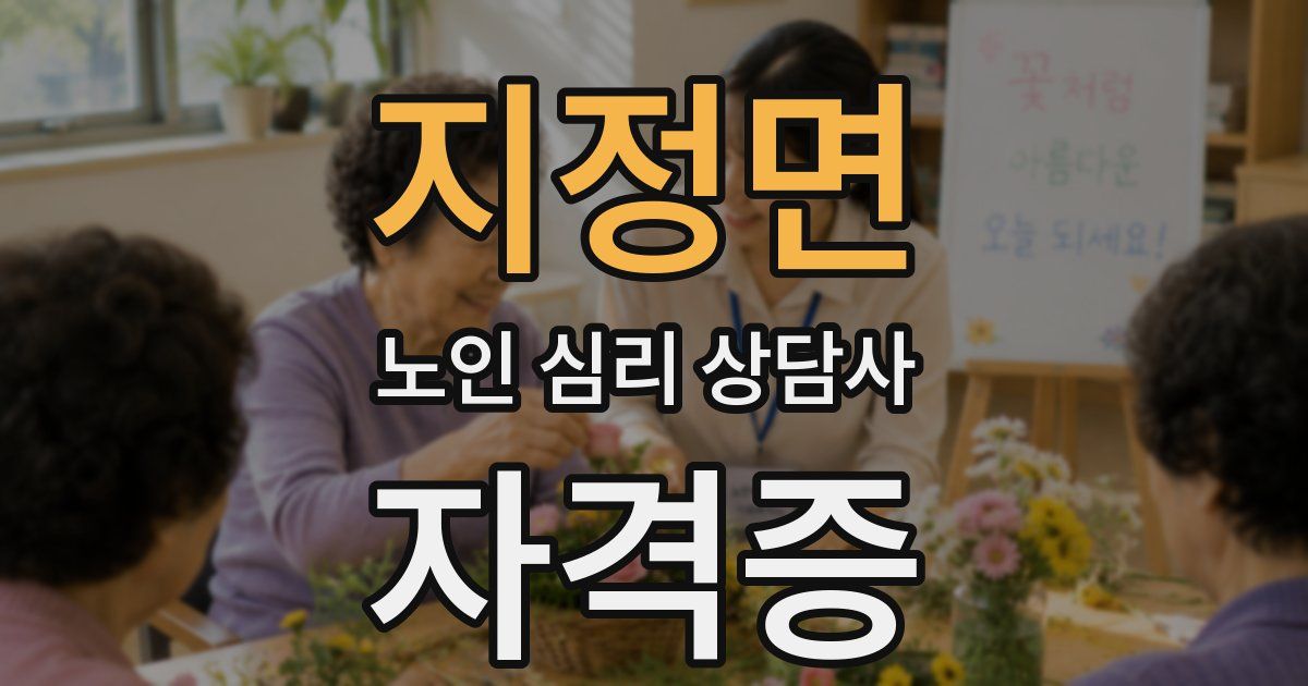 지정면 노인 심리 상담사 자격증