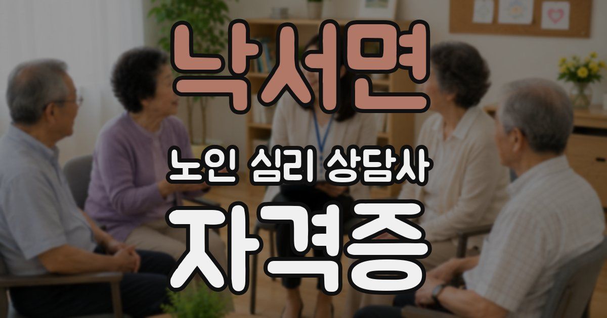 낙서면 노인 심리 상담사 자격증