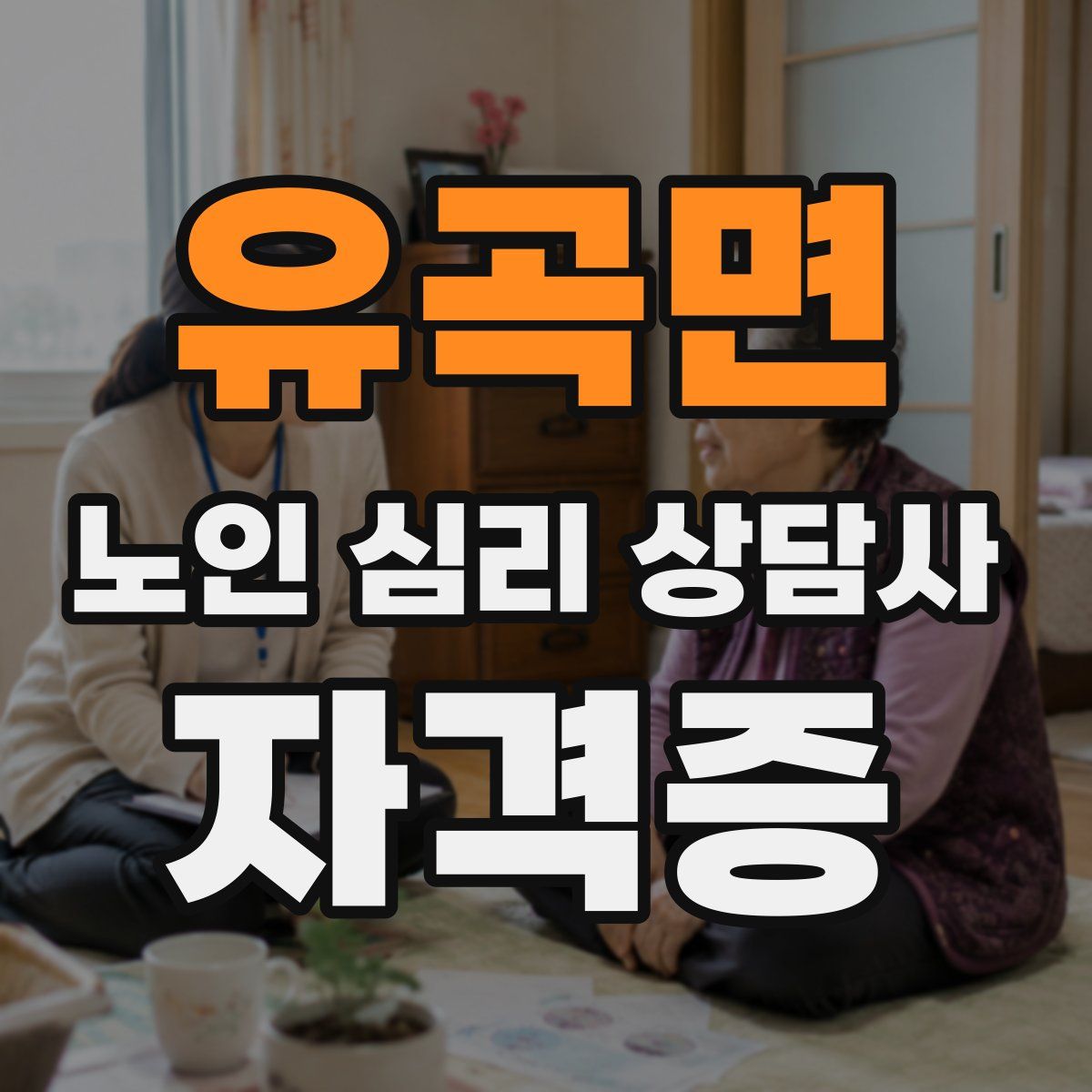 유곡면 노인 심리 상담사 자격증