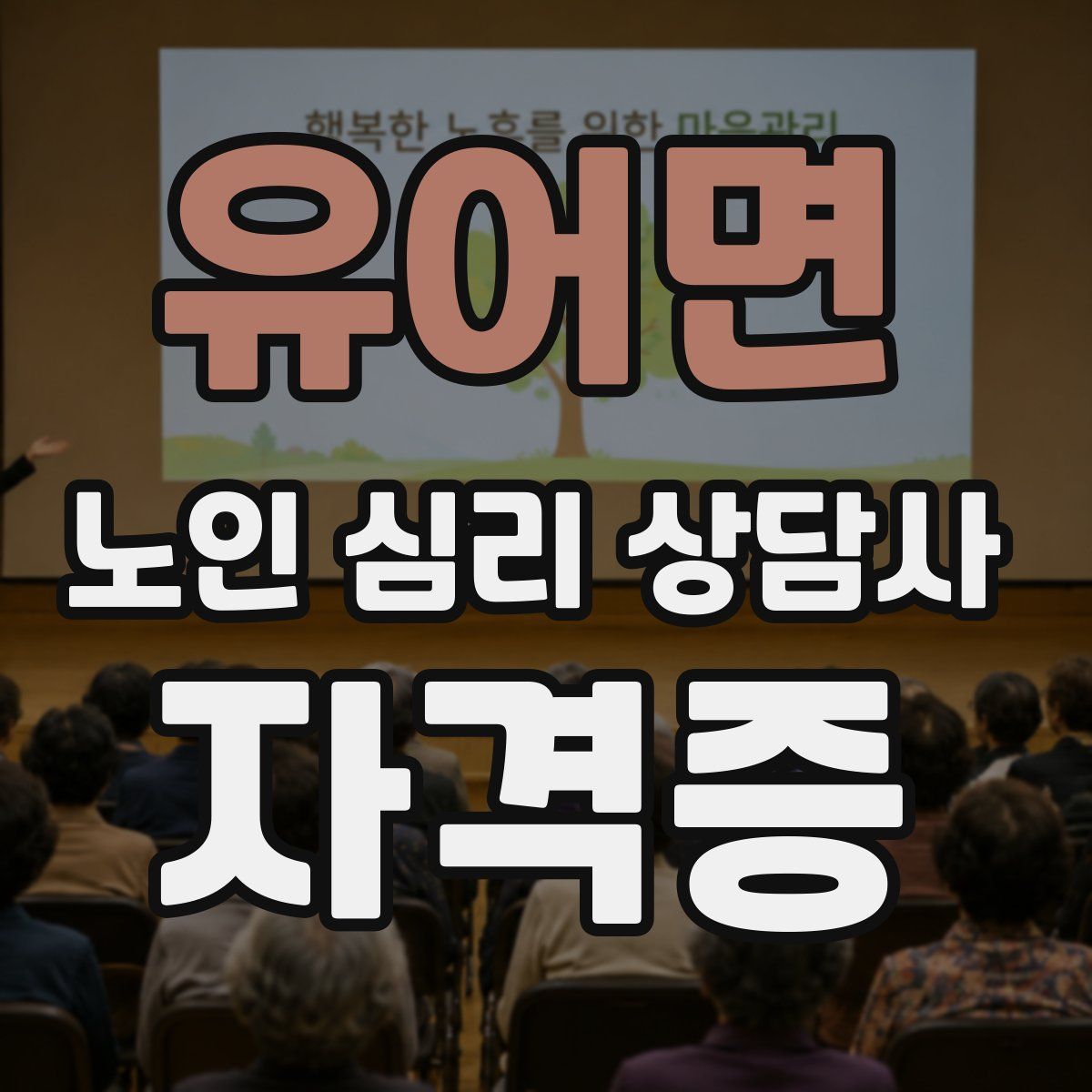 유어면 노인 심리 상담사 자격증