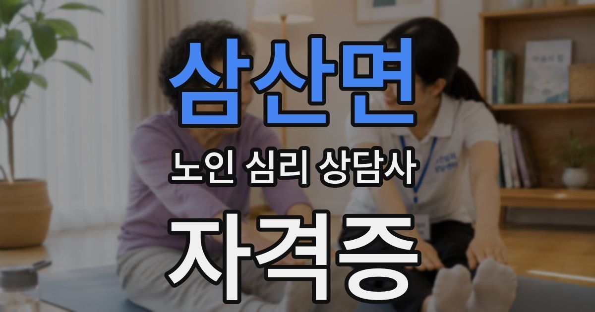 삼산면 노인 심리 상담사 자격증