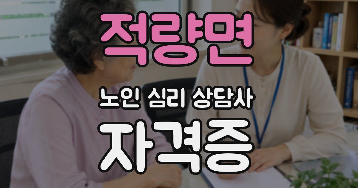 적량면 노인 심리 상담사 자격증