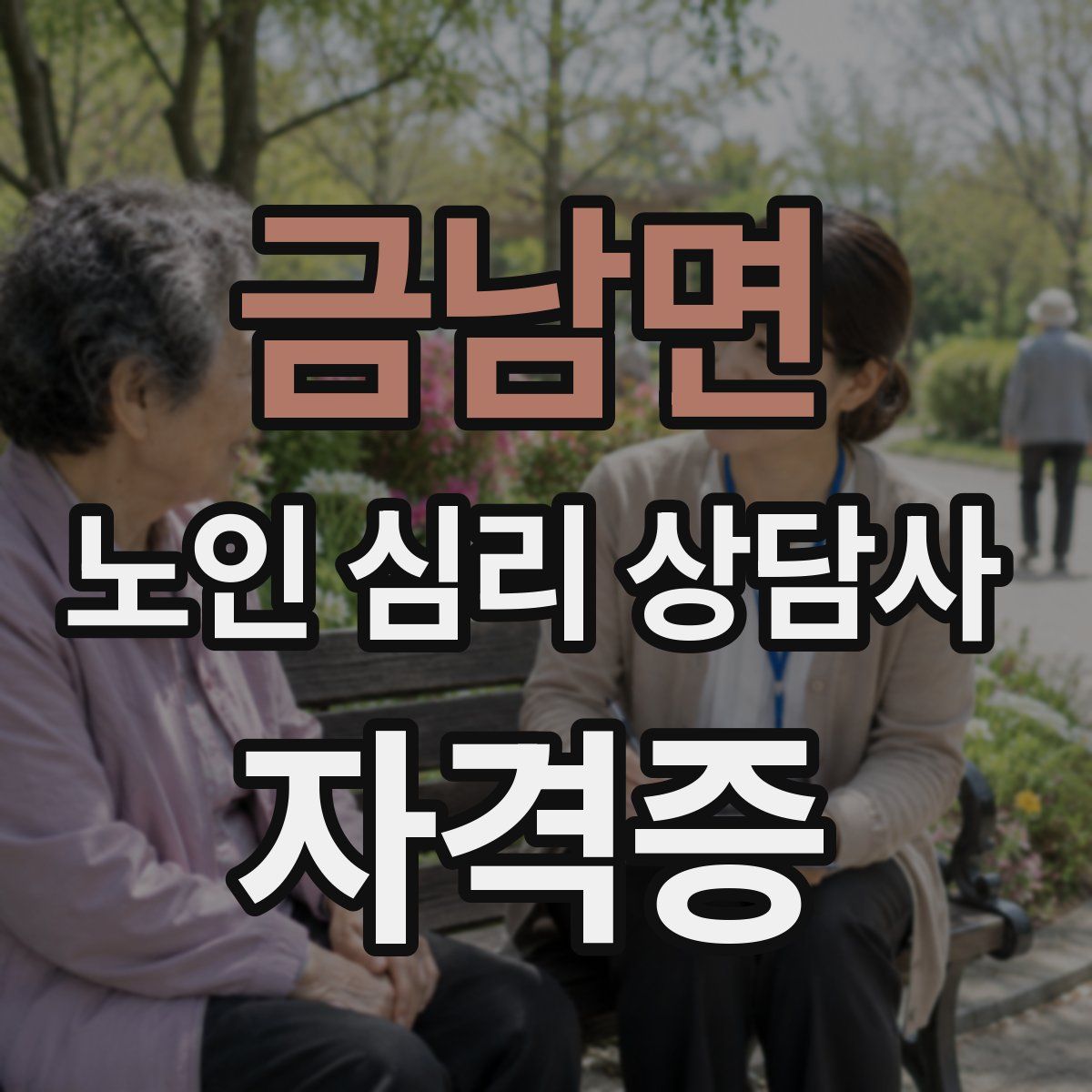 금남면 노인 심리 상담사 자격증