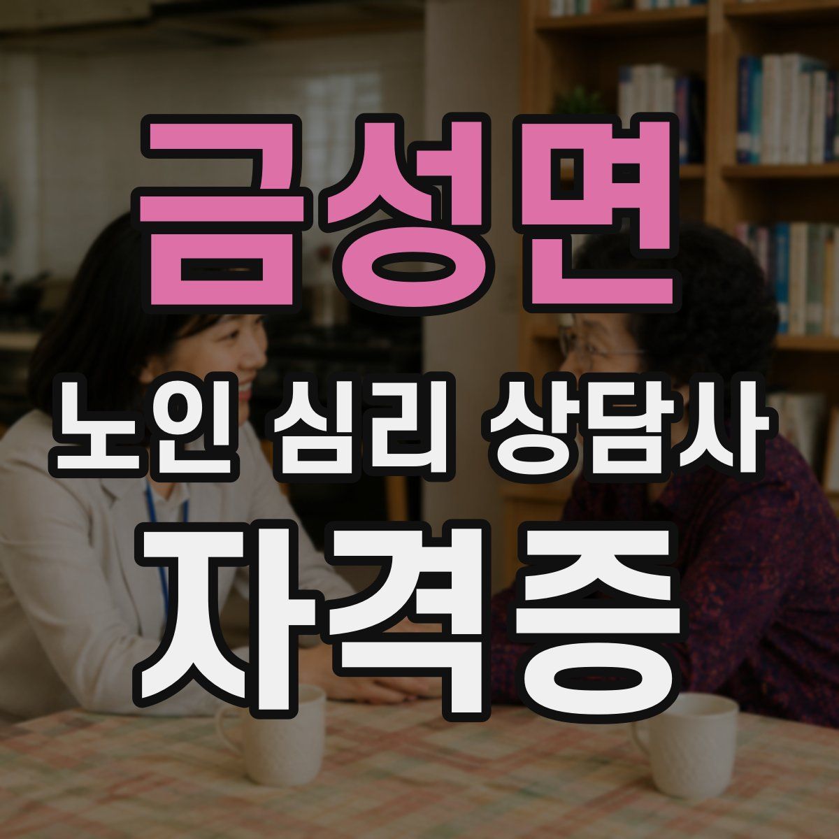 금성면 노인 심리 상담사 자격증